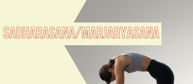 Sadharasana/Marjaryasana – Postura da Semana