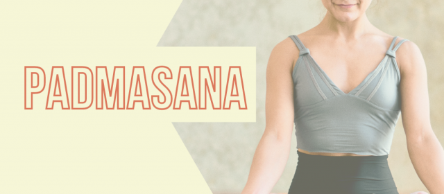 Padmasana – Postura da Semana